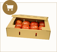 トマト用ダンボール(既製品)